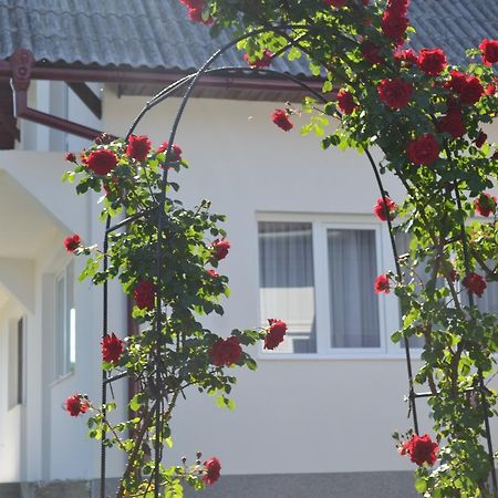 Prundul Birgaului Casa Mariaゲストハウス エクステリア 写真